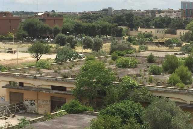 Bari, il misterioso edificio in rovina che tutti chiamano "l'ex fabbrica della Ferrero"